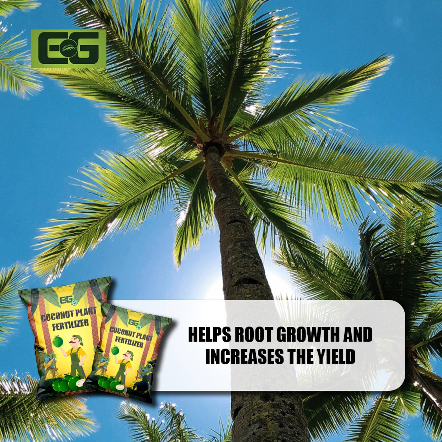 elamgreen Coconut Palm Fertilizer for Strong Roots & Green Leaves Fertilizer  Price in India - Buy elamgreen Coconut Palm Fertilizer for Strong Roots &  Green Leaves Fertilizer online at Flipkart.com
