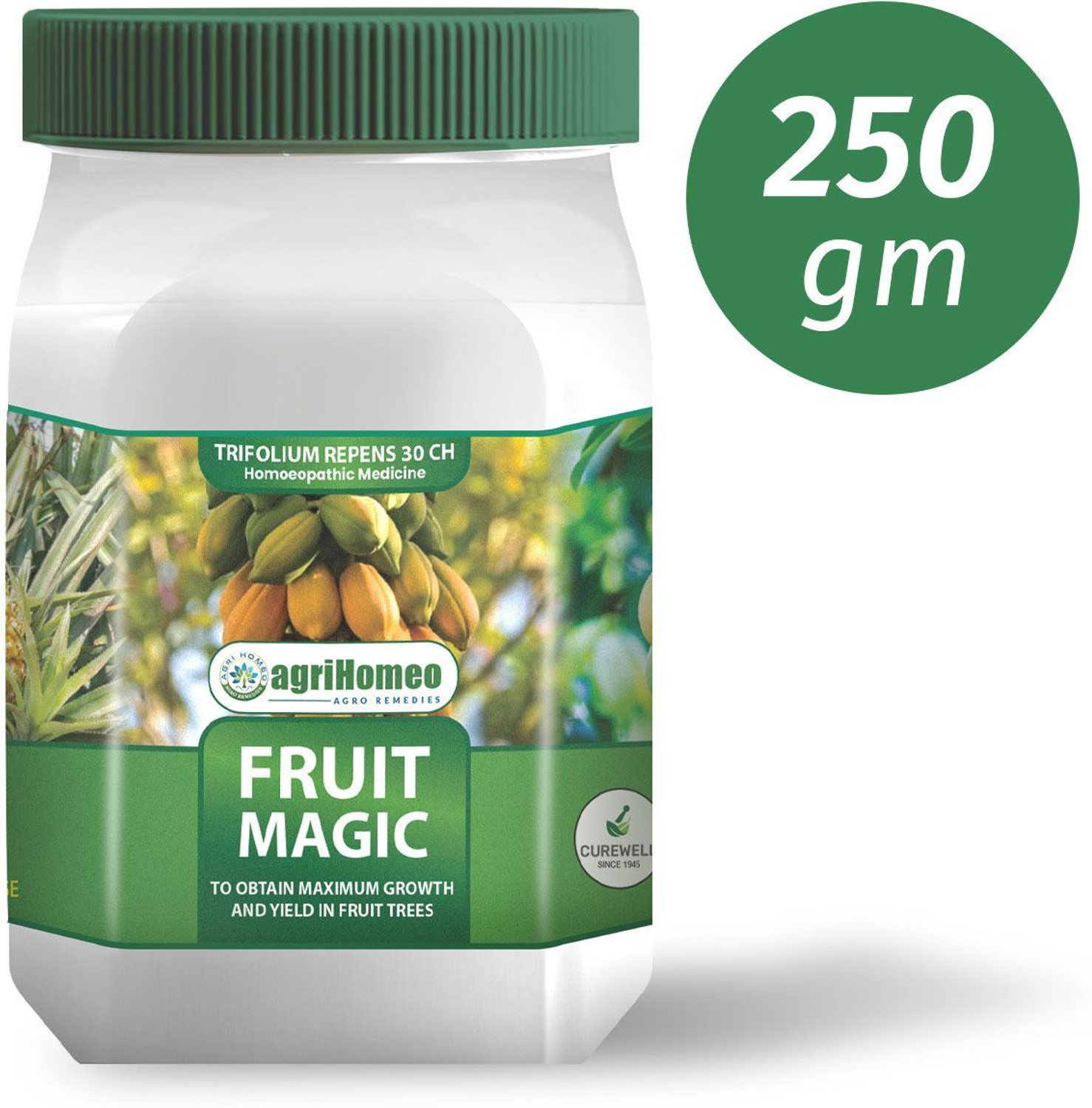 BMX ペグ MAGIC FRUITS Diet Peg × 2本 BMX ペグ MAGIC FRUITS Diet Peg × 2本 【公式通販】