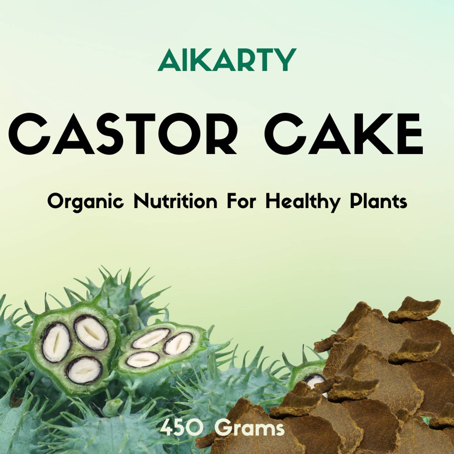 Alkarty ORGANIC CASTOR CAKE FOR PLANT GROWTH FERTILIZER 450GMS Fertilizer