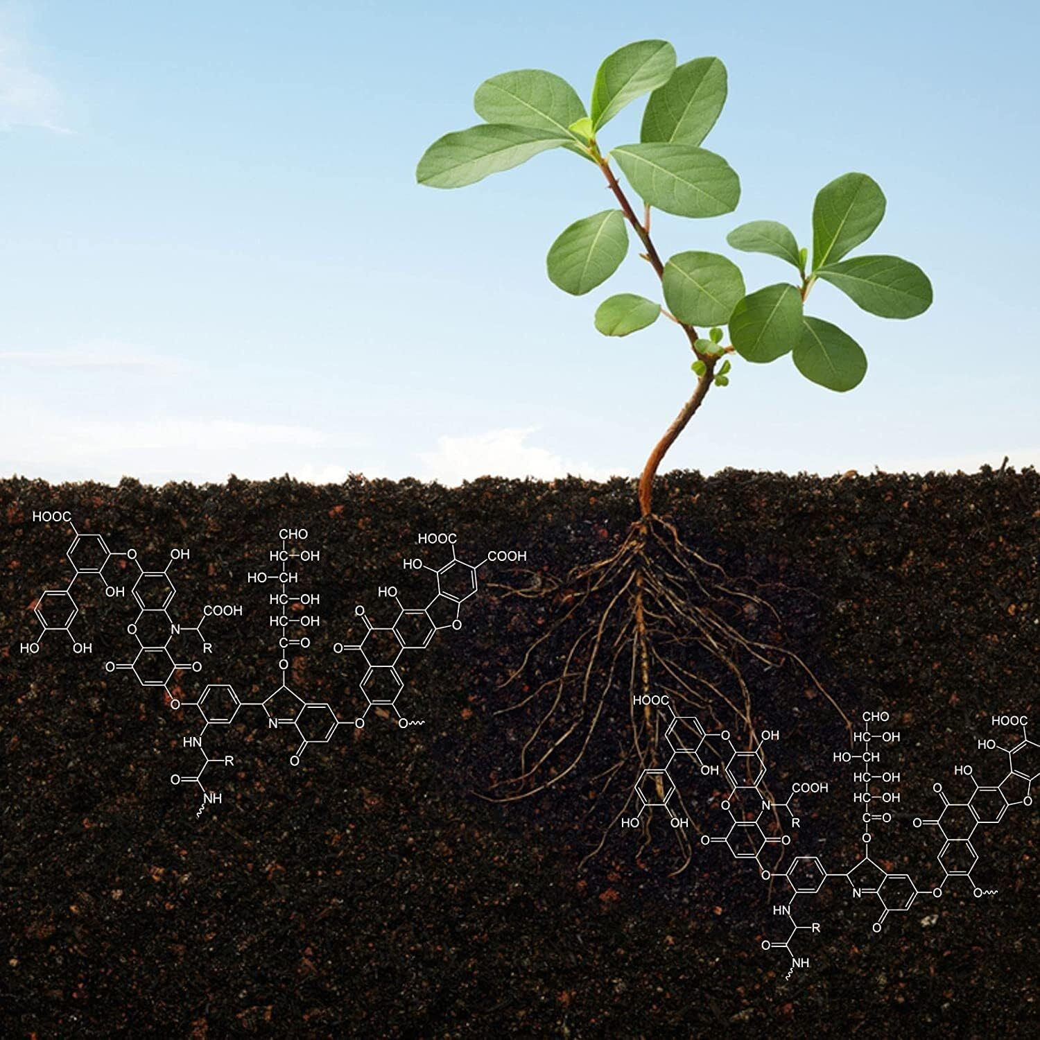 Image of Gardenica Humic Acid Fertilizer For Plant Growth Enhancer and improves Plant Root System Fertilizer, Manure, Pesticide, Soil