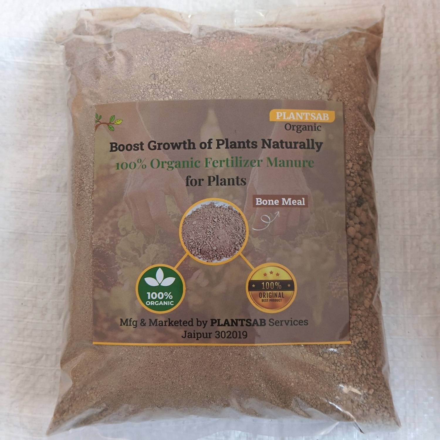 chinese maple plant 30 Mixed Colors FLOWERING MAPLE (Chinese Bell Flower) Abutilon Hybridum Shrub Bush Small Tree Seeds