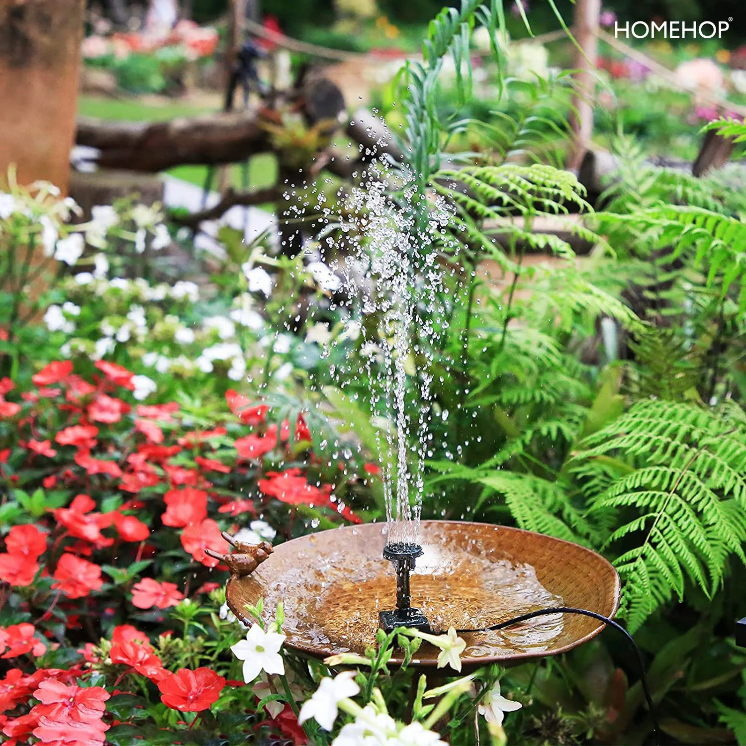 Image of Homehop 6 cm X 11 cm X 11 cm Water Fountain
