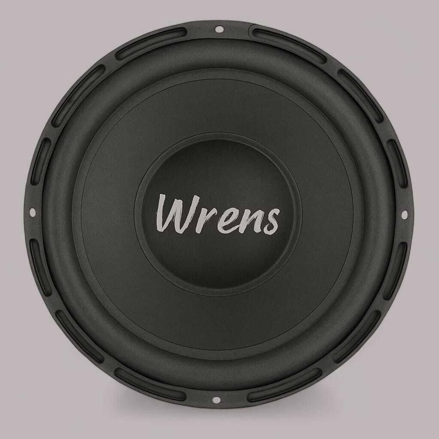 WRENS 260W 5 Inch Woofer Speaker - Image 1