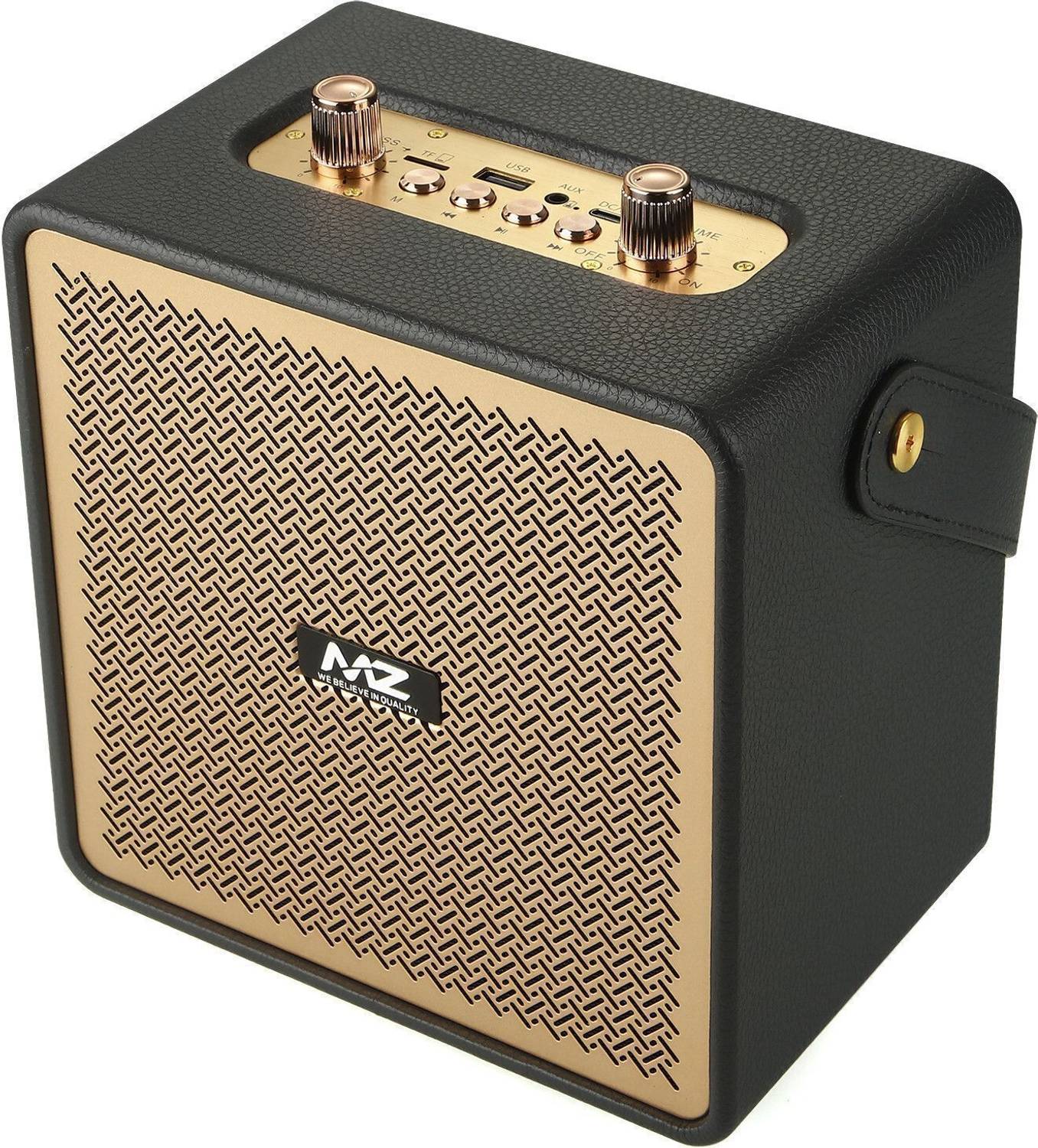 Buy MZ M33VP (PORTABLE KARAOKE SPEAKER) Dynamic Thunder Sound with