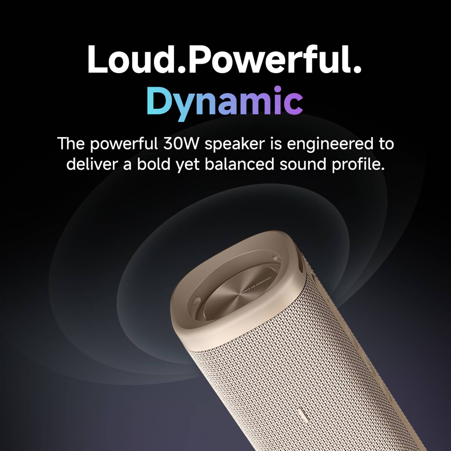Xiaomi 30W Sound Outdoor Bluetooth Speaker - Image 4