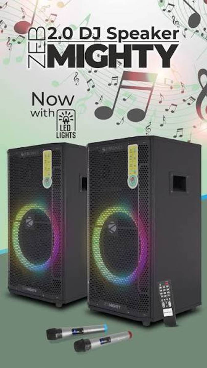 ZEBRONICS zeb-mighty 240 W Bluetooth Party Speaker