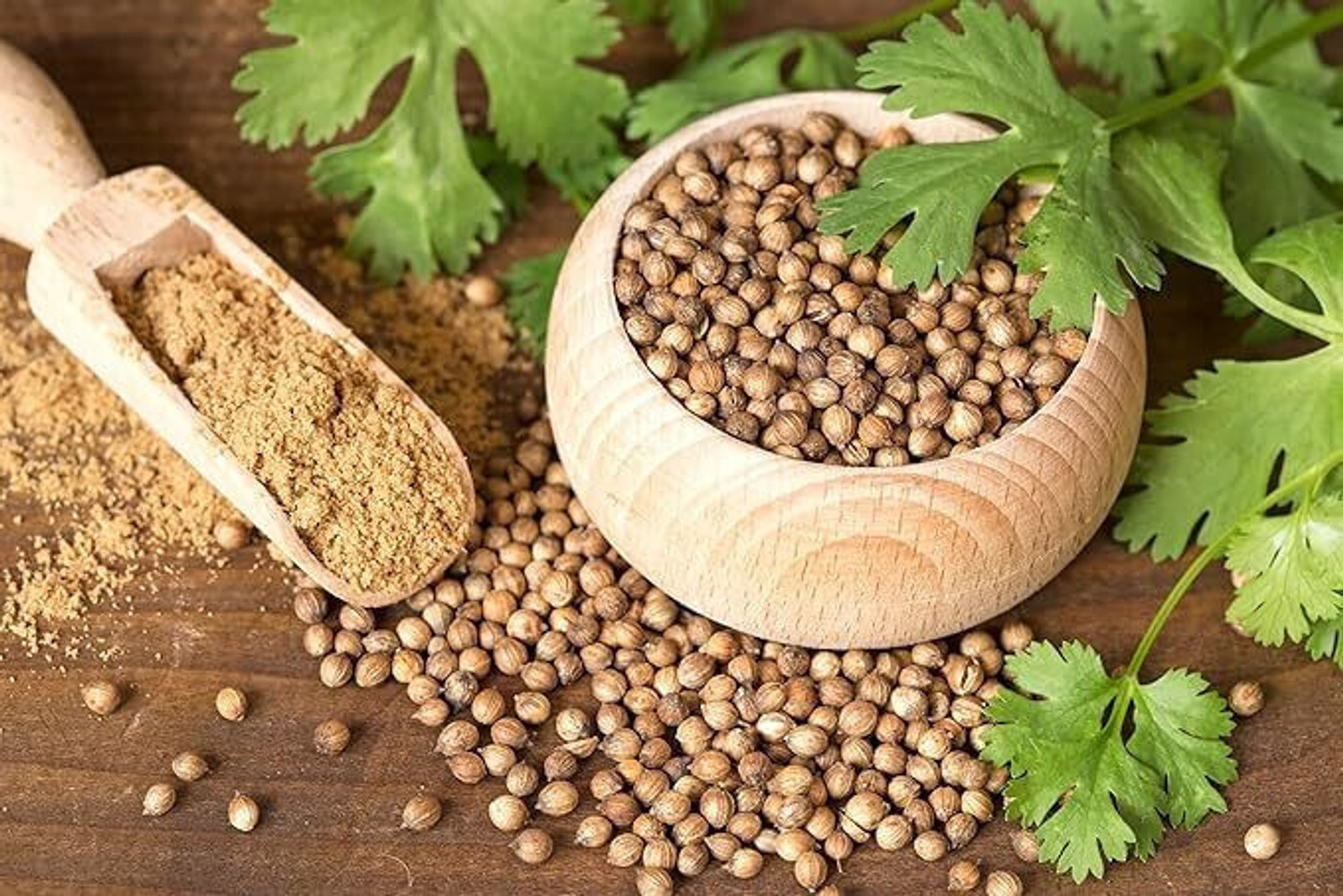 Image of organic uncle Whole Organic Coriander Seeds /Coriander Seed /Dhaniya seed