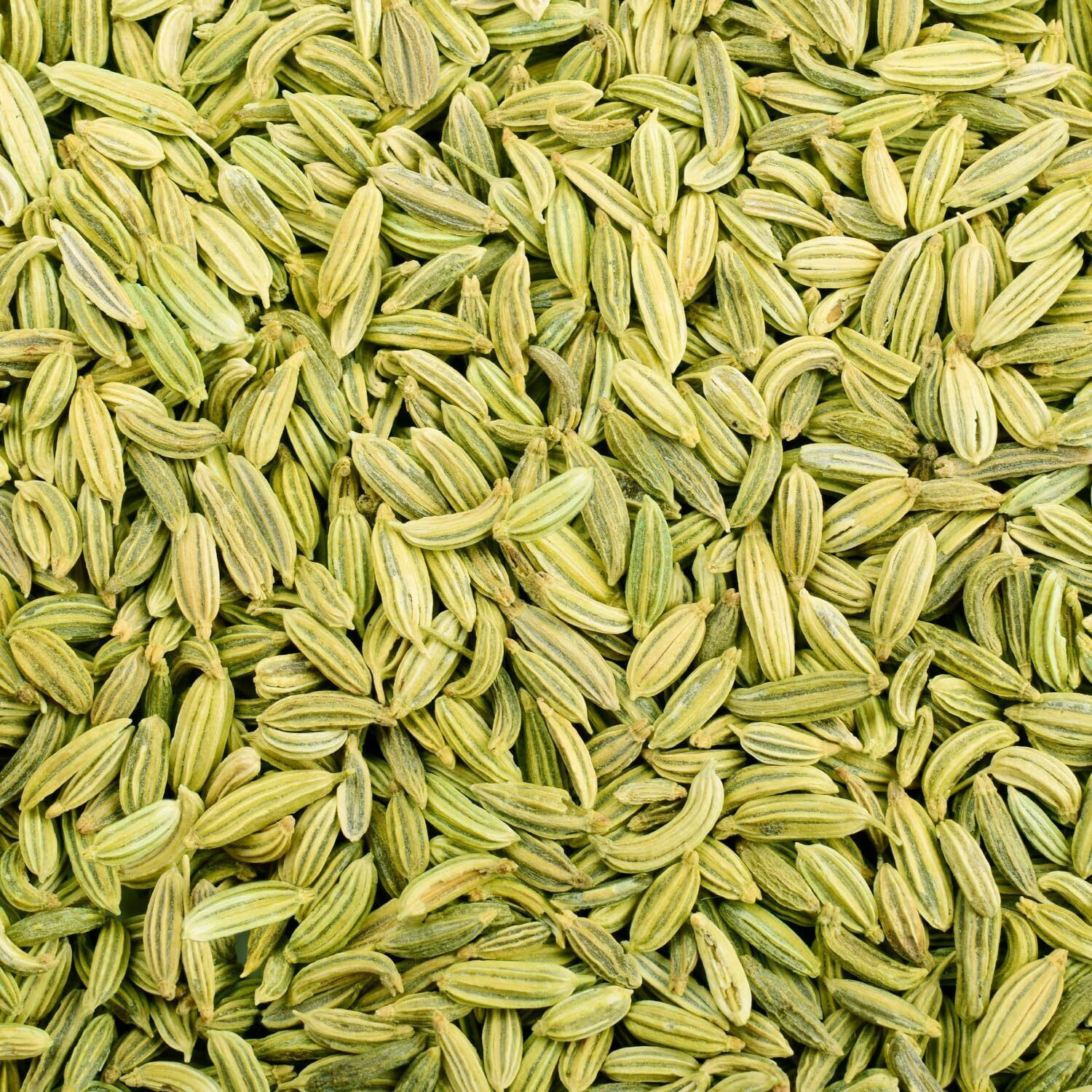 Image of HIMANSHI HERBALS Pure and Natural Fennel Seeds Saunf Indian viryali Saunf