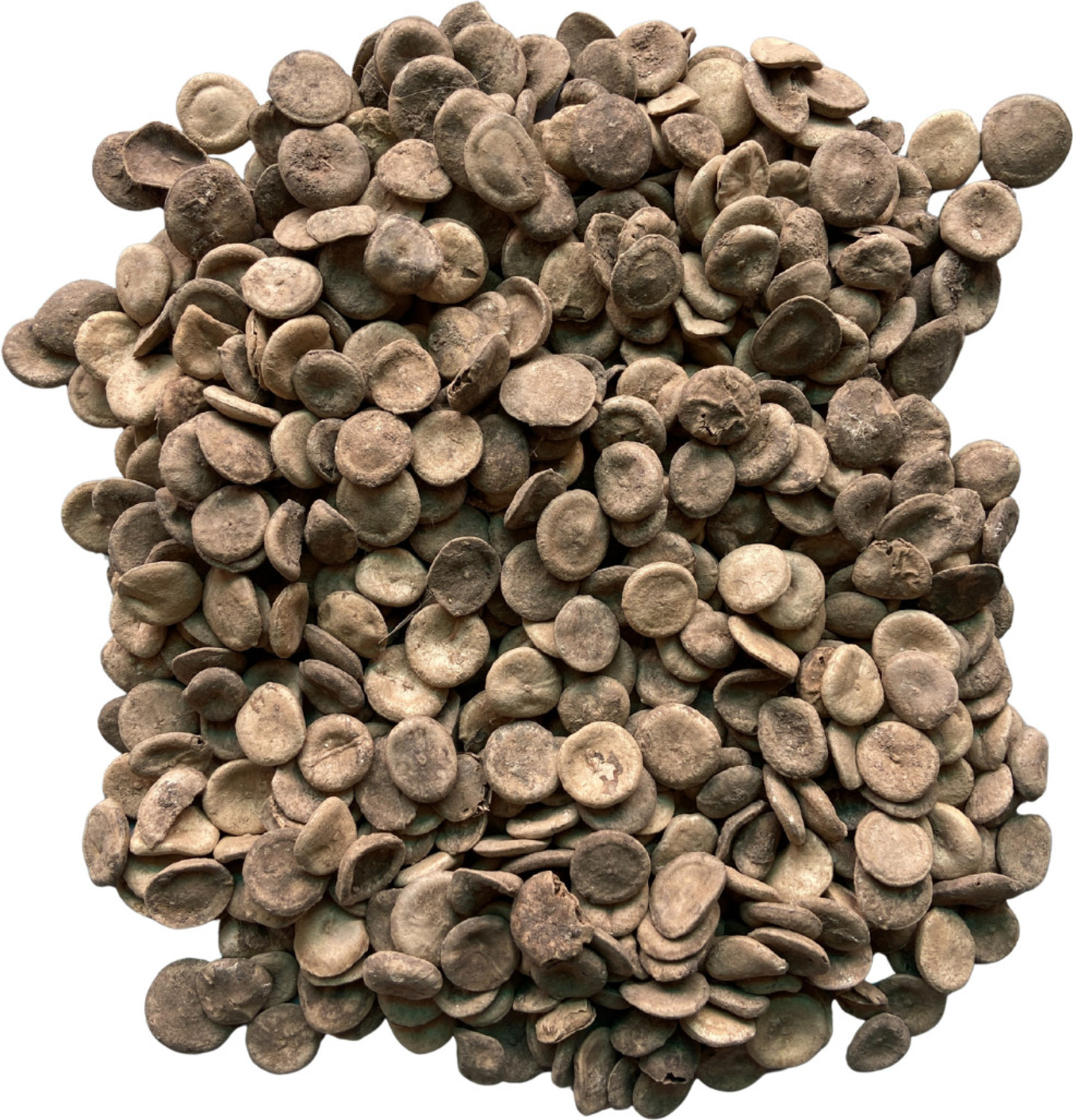 Image of Bionest Herbals Kuchla beej (Raw) -100 g - Nux Vomica Seeds | For Nervous system, Digestive fire