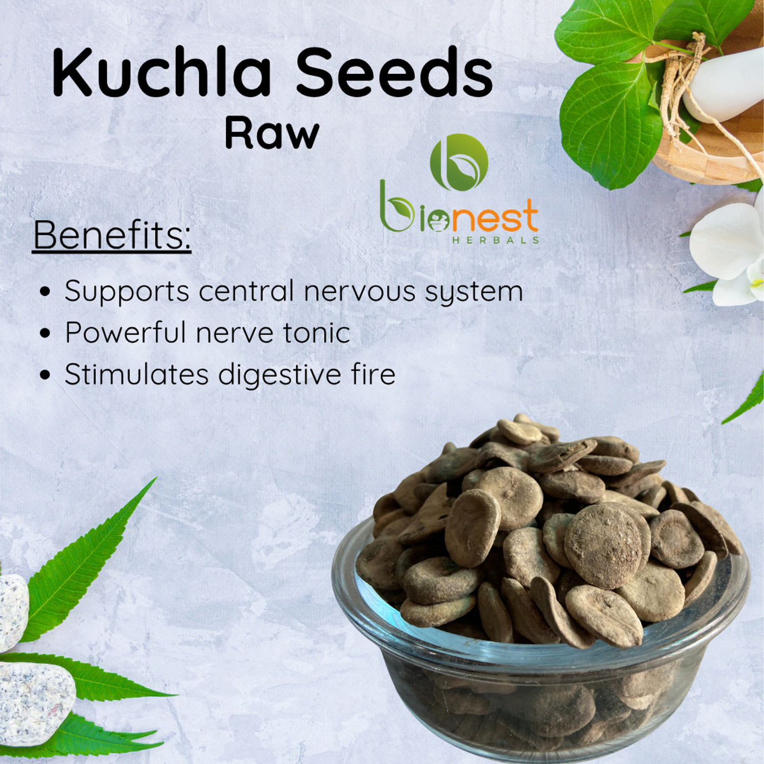 Image of Bionest Herbals Kuchla beej (Raw) -100 g - Nux Vomica Seeds | For Nervous system, Digestive fire