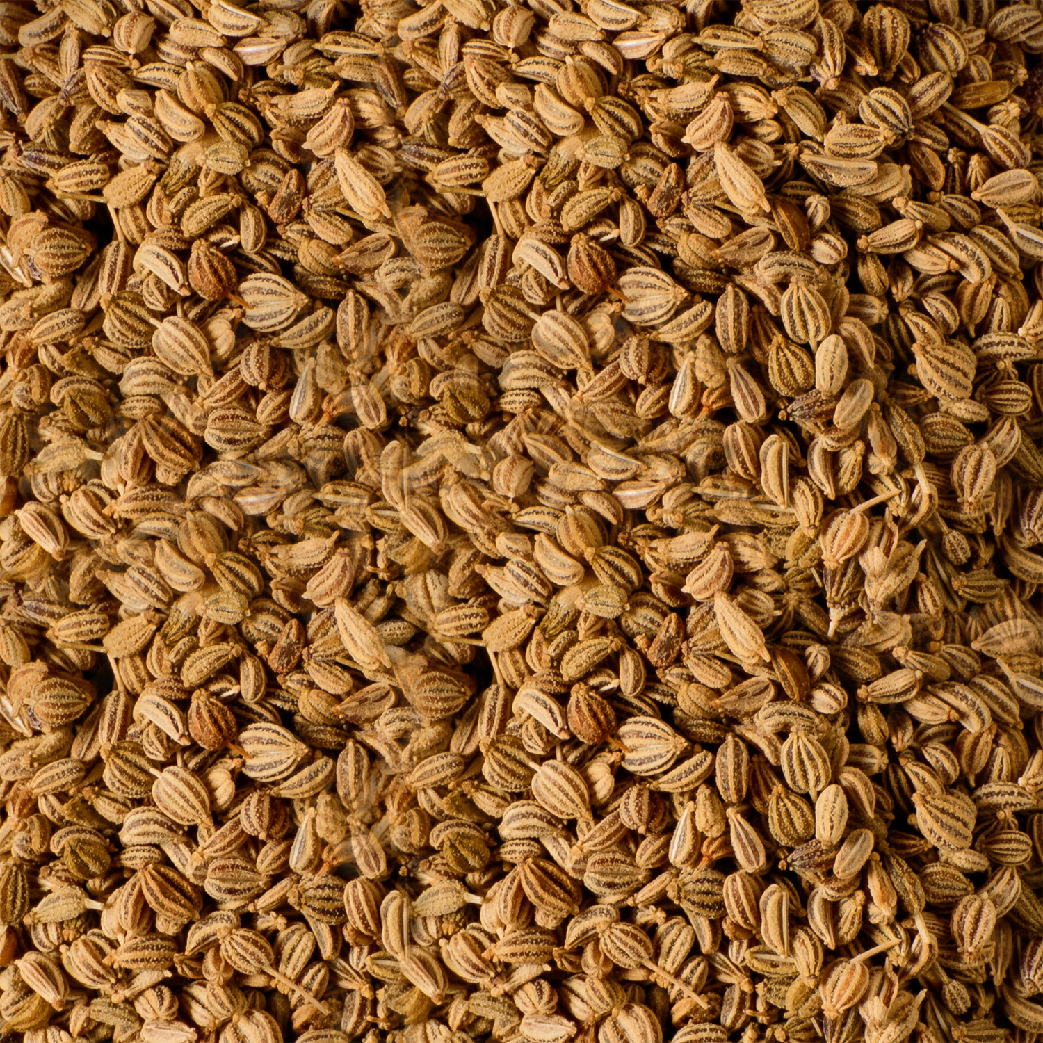 Image of AASHIRVAAD Ajwain / Carom Seeds