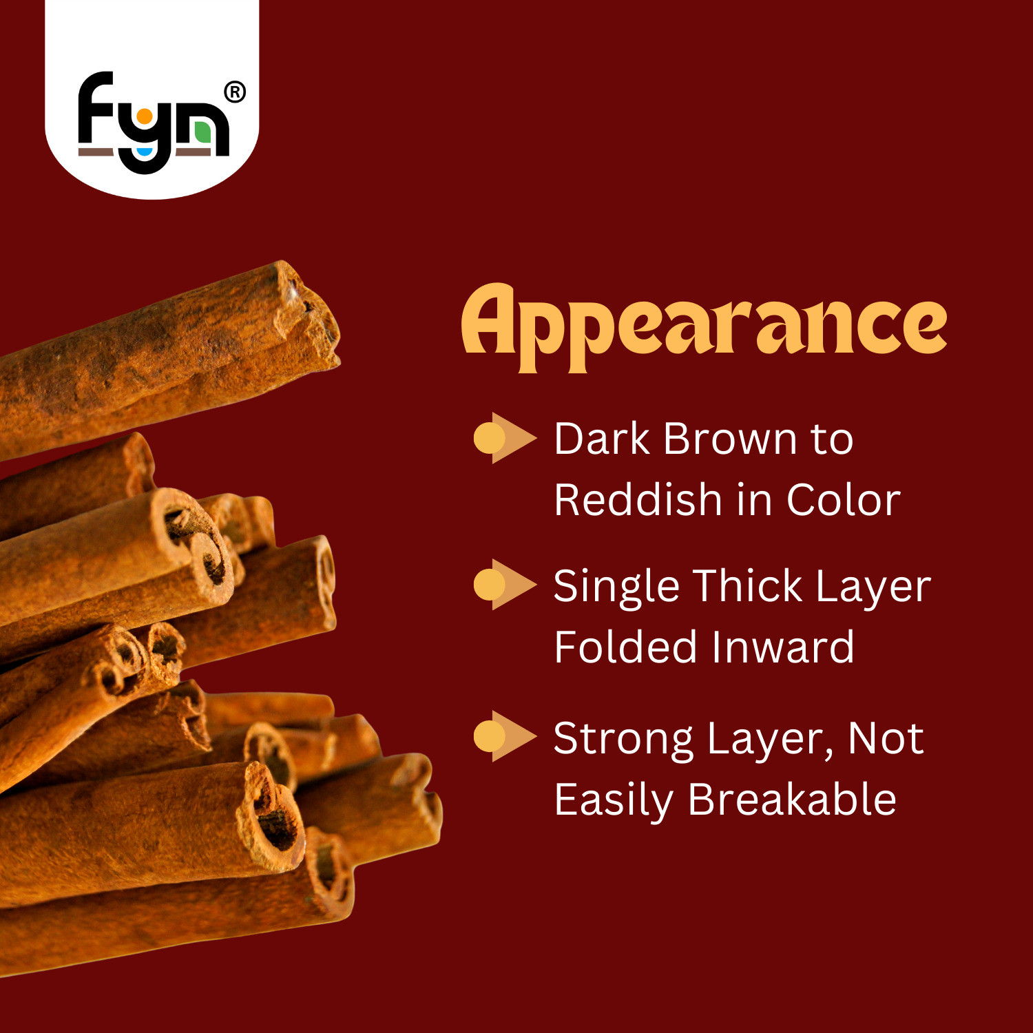 Image of FYN Cassia Cinnamon / Dalchini Sticks (100g) - Strong Flavour & Aroma