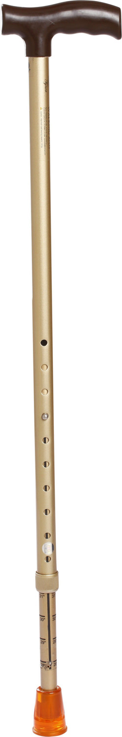 Image of TYNOR Walking Stick L type, Golden, Universal Size, 1 Unit Gymnastic Stick - 243.84 cm