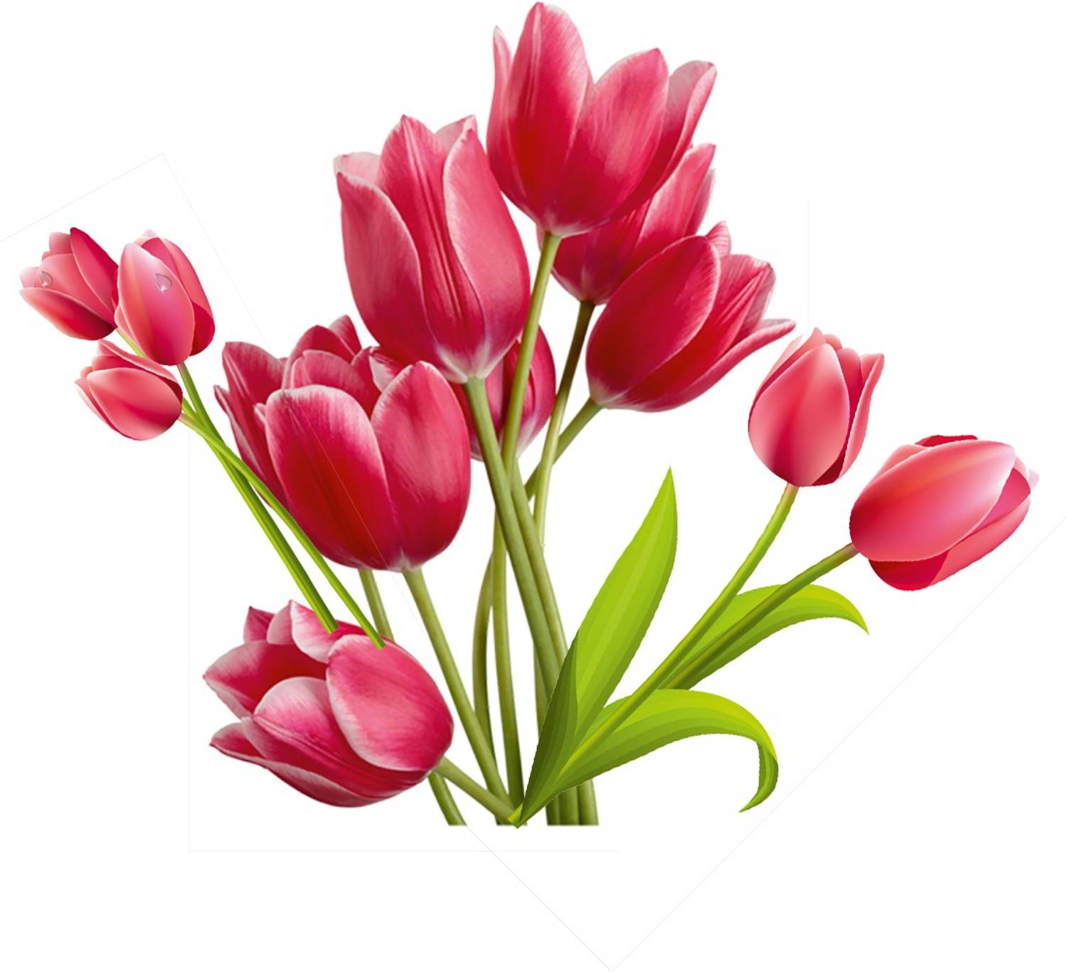 Aquire 101 cm New Modern Art & Trendy Wall Stickers for Home Decoration Self Adhesive Sticker