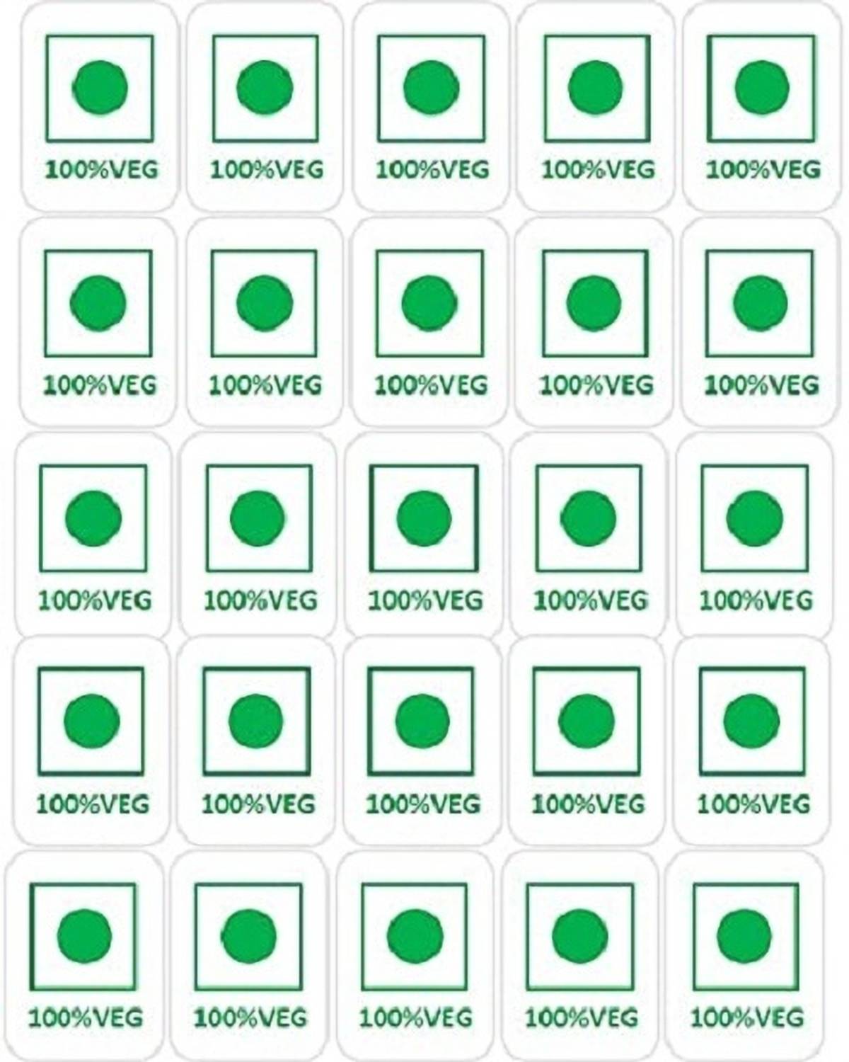 BlackDreams 2 cm Food Veg Mark Stickers (Selection Required) 20x15mm (100% Veg, 250) Self Adhesive Sticker