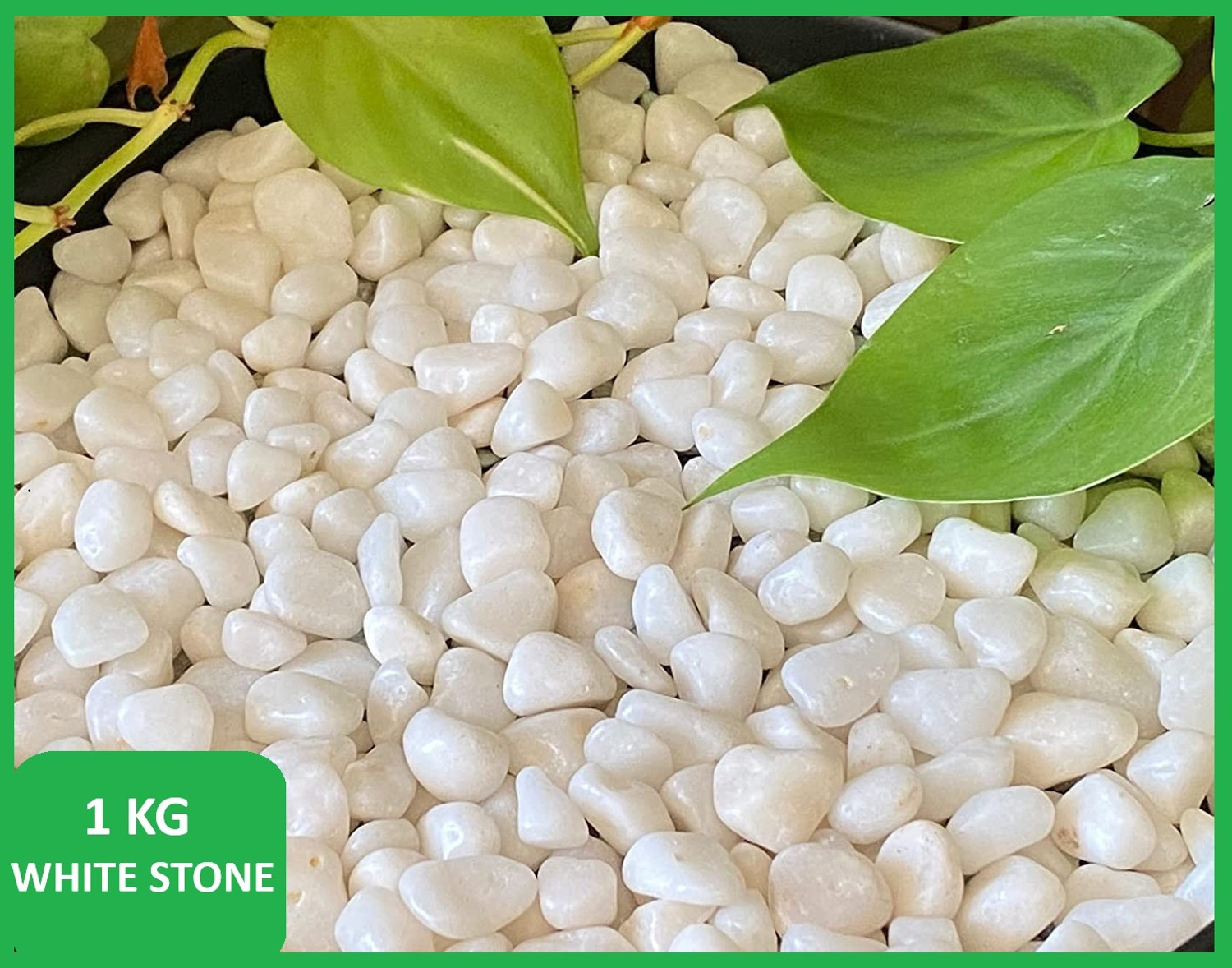 Image of SMAB White Pebble Stones 1 KG for Plants Garden Aquarium Decoration Marble Polished Asymmetrical Marble Stone