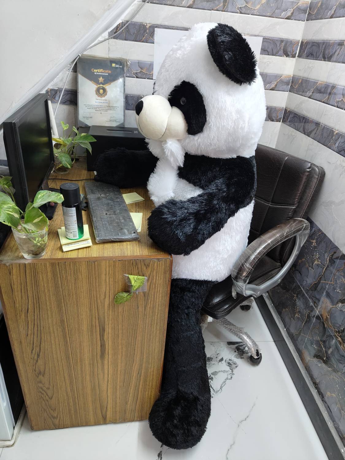 AV Toys 6 feet Panda Teddy Bear - Image 5