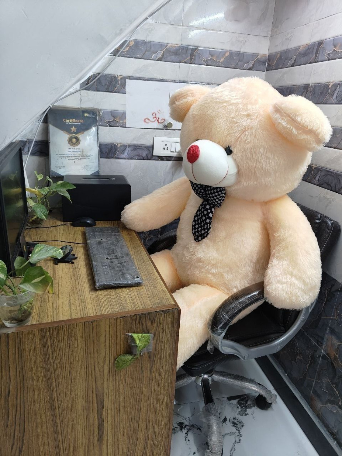 Image of AV Toys teddy bear 6 feet Cream beautiful gift for some one special - 72 inch (Cream) - 72 inch