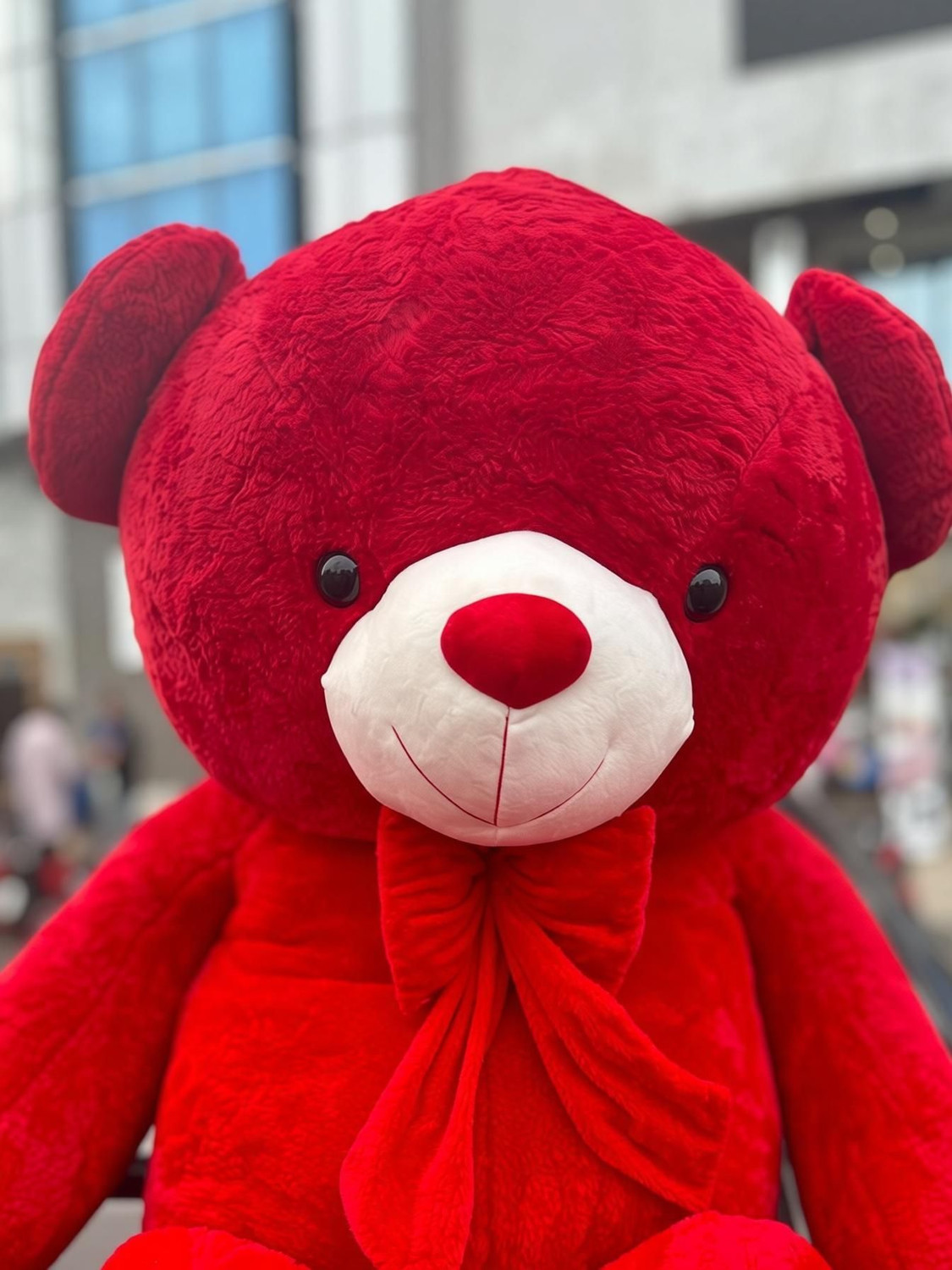 Image of itaCheeHUB 5 Feet teddy bear big size fat gift for girls birthday - 58 inch