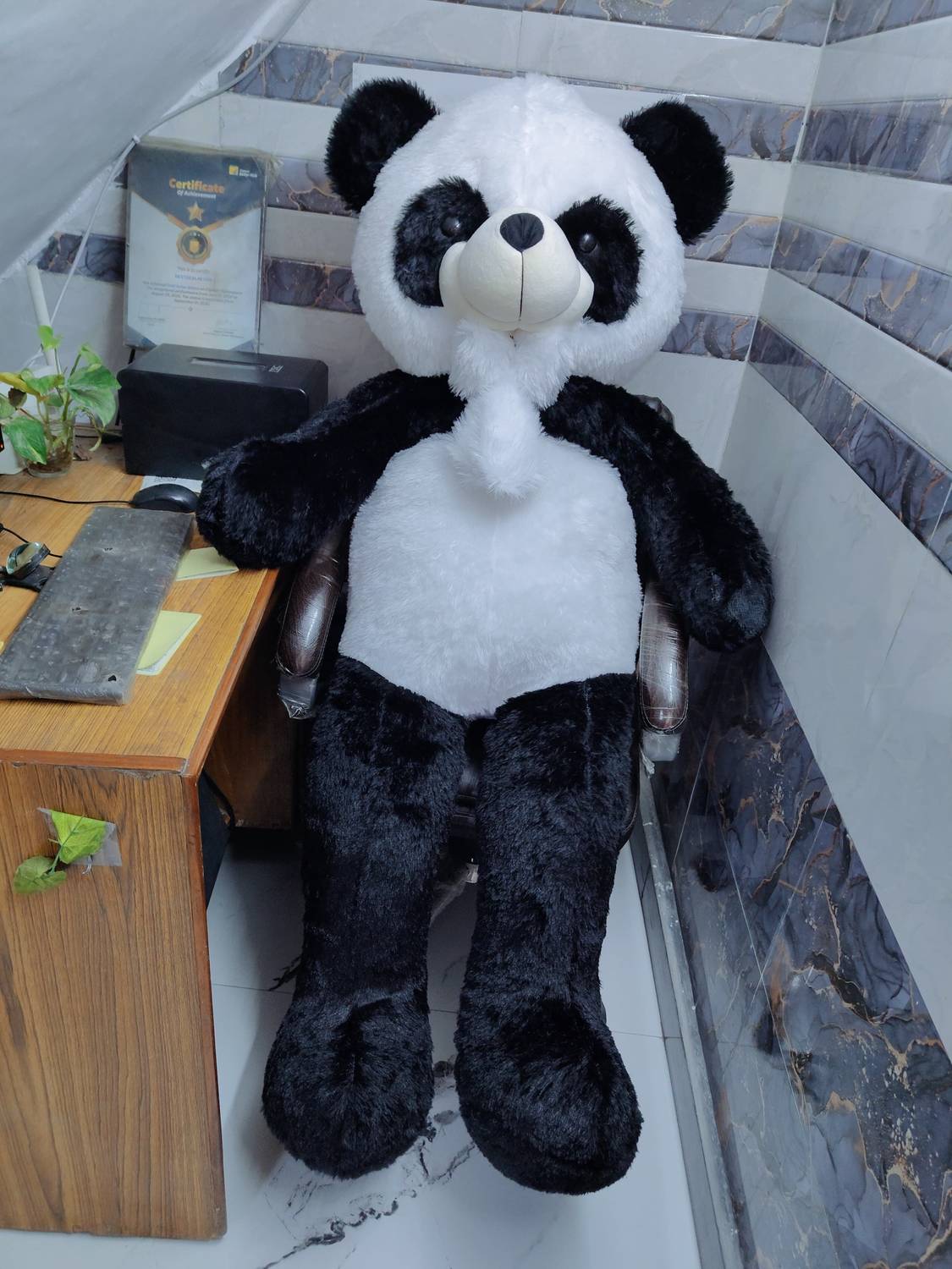 AV Toys 6 feet Panda Teddy Bear - Image 4