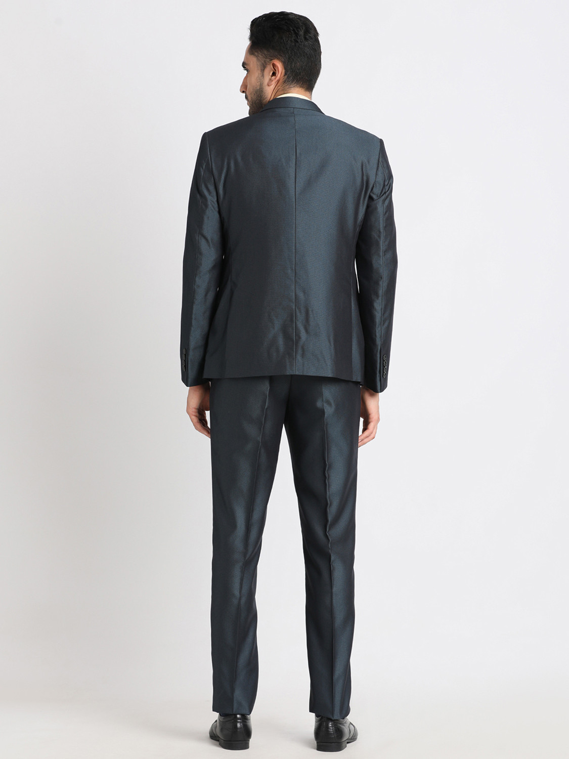 Image of TURTLE 2 Piece Suit Self Design Men Suit