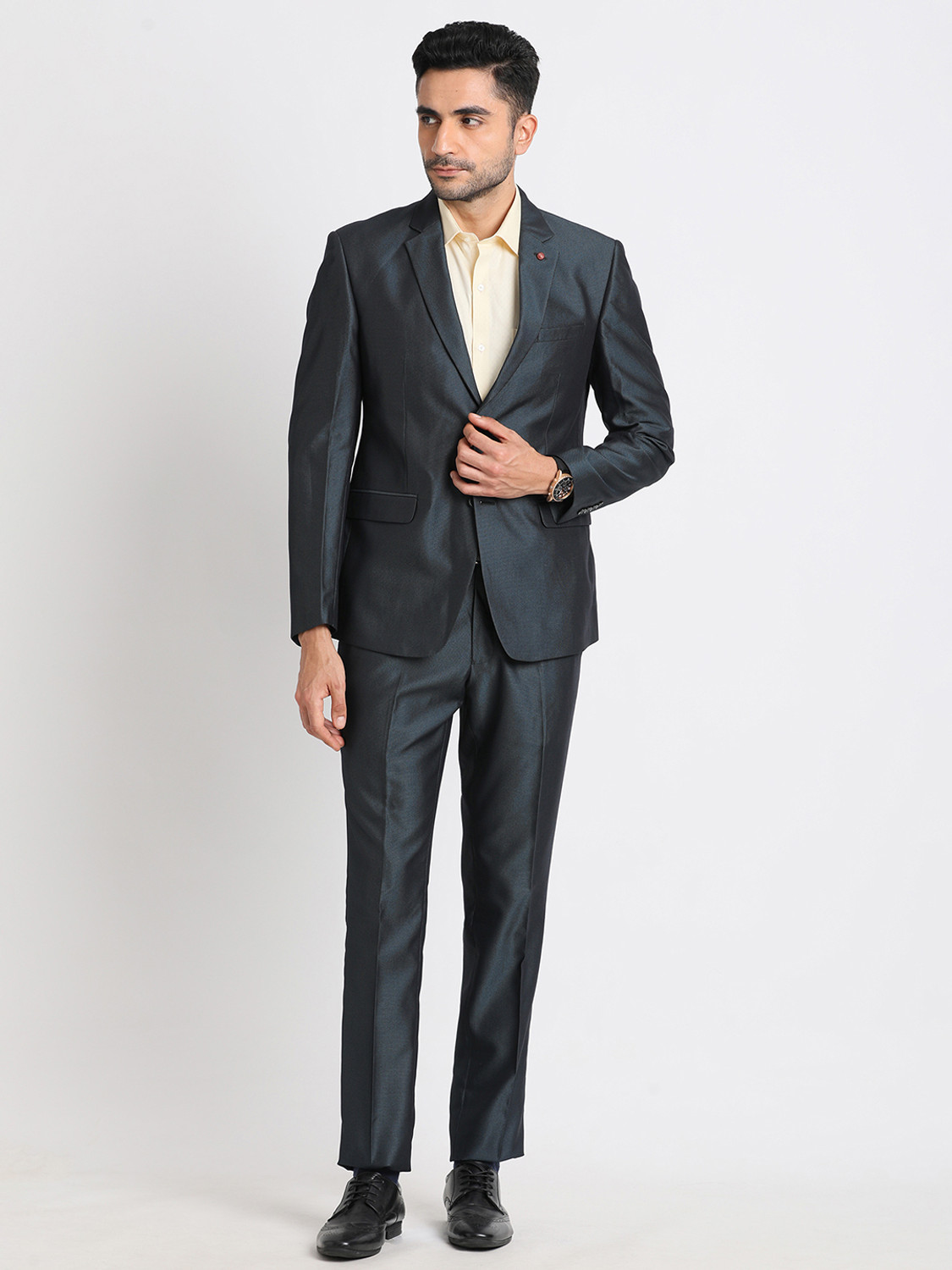Image of TURTLE 2 Piece Suit Self Design Men Suit
