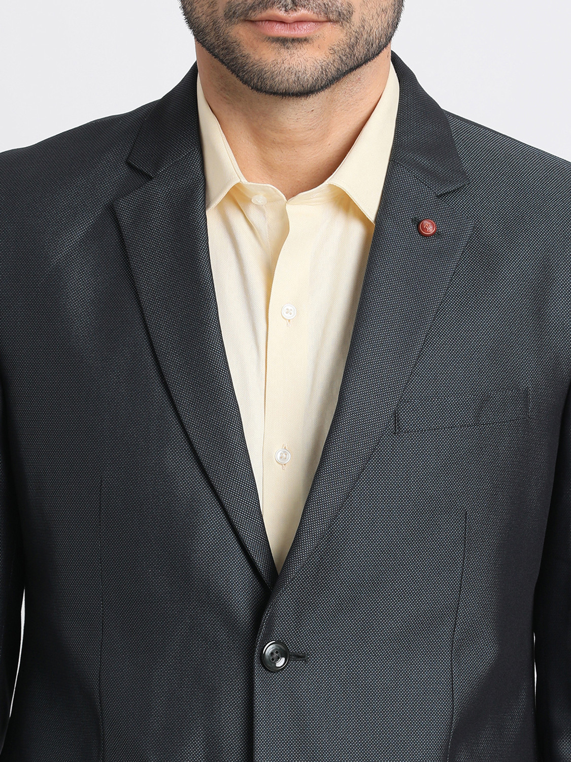 Image of TURTLE 2 Piece Suit Self Design Men Suit
