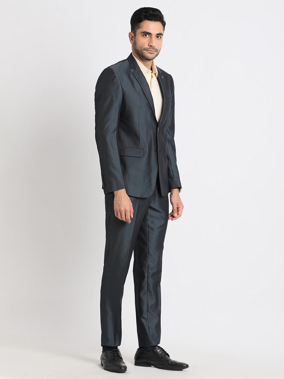 Image of TURTLE 2 Piece Suit Self Design Men Suit