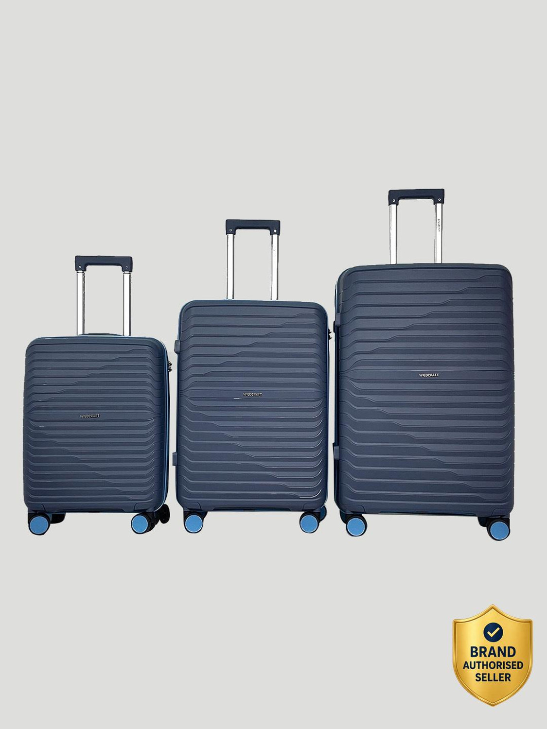 Image of Wildcraft Argus : Set of 3 (Small 56.2cm | Medium 66.2cm | Large 76cm) Cabin & Check-in Set 8 Wheels - 10 Inch