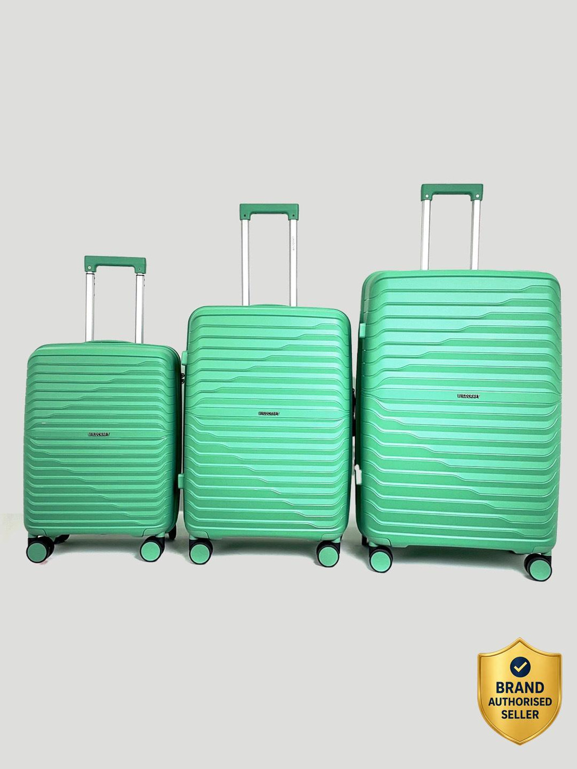 Image of Wildcraft Argus : Set of 3 (Small 56.2cm | Medium 66.2cm | Large 76cm) Cabin & Check-in Set 8 Wheels - 10 Inch