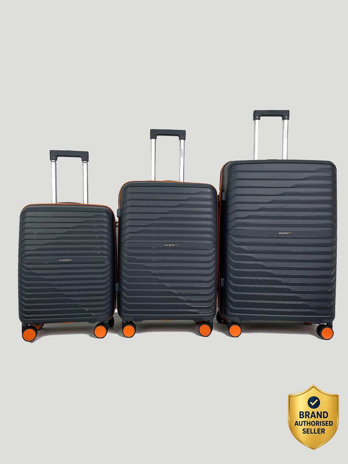 Image of Wildcraft Argus : Set of 3 (Small 56.2cm | Medium 66.2cm | Large 76cm) Cabin & Check-in Set 8 Wheels - 10 Inch