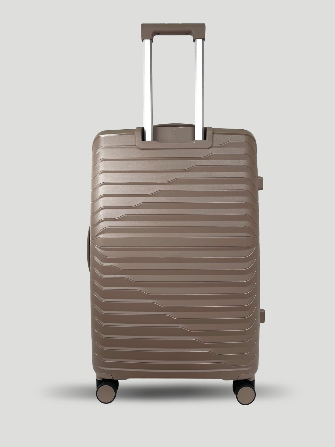 Image of Wildcraft Argus : Set of 3 (Small 56.2cm | Medium 66.2cm | Large 76cm) Cabin & Check-in Set 8 Wheels - 10 Inch