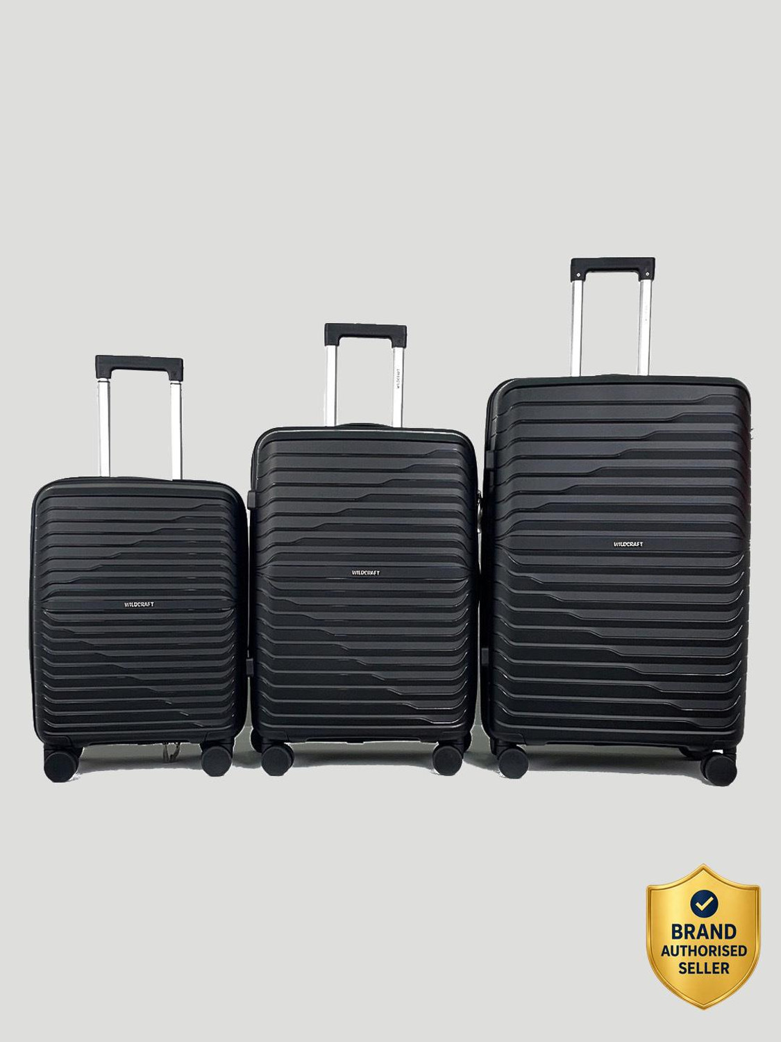 Image of Wildcraft Argus : Set of 3 (Small 56.2cm | Medium 66.2cm | Large 76cm) Cabin & Check-in Set 8 Wheels - 10 Inch
