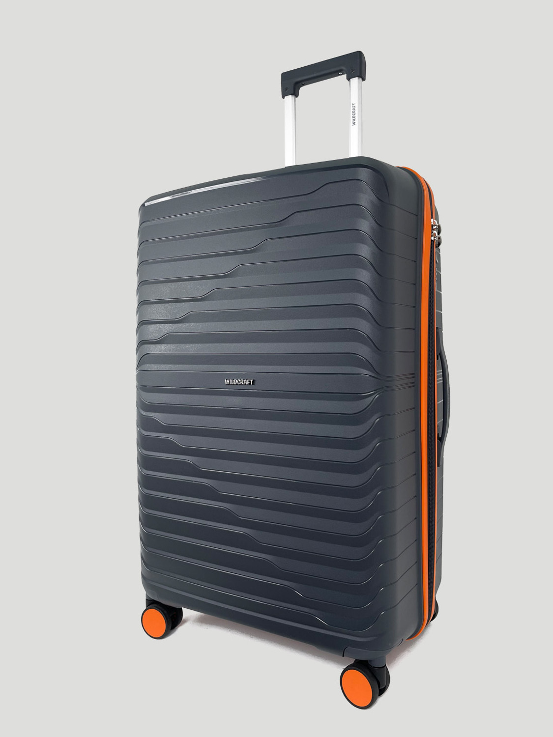 Image of Wildcraft Argus : Set of 2 (Small 56.2cm | Medium 68.2cm) Cabin & Check-in Set 8 Wheels - 10 Inch