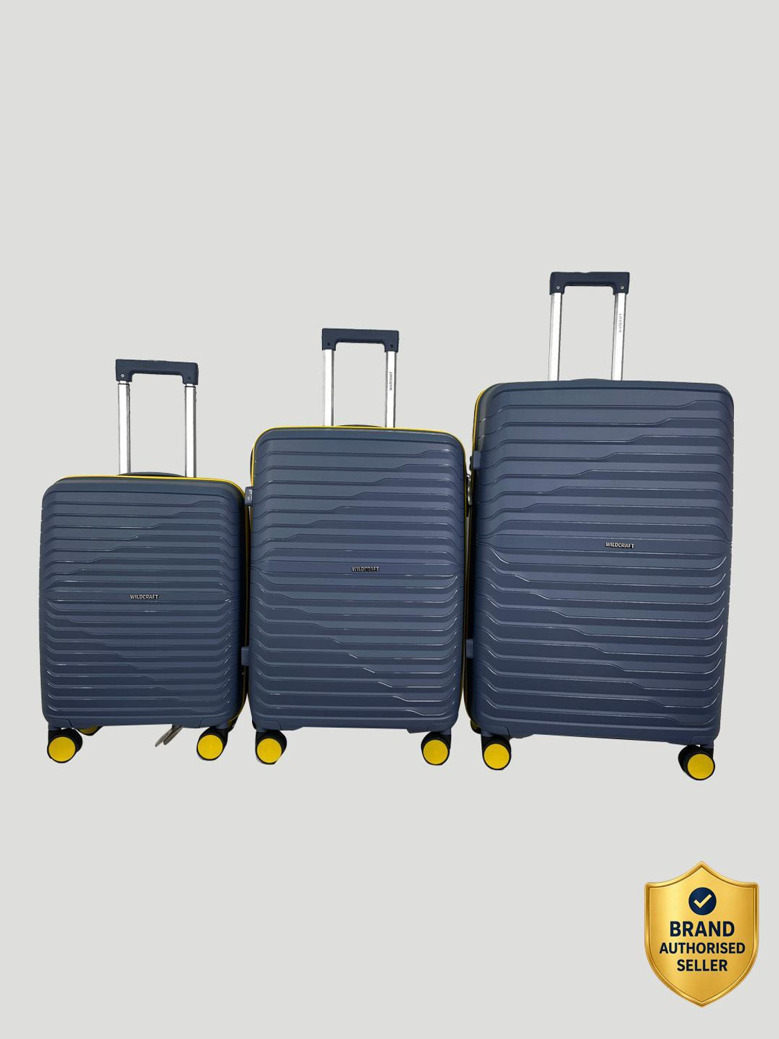 Image of Wildcraft Argus : Set of 3 (Small 56.2cm | Medium 66.2cm | Large 76cm) Cabin & Check-in Set 8 Wheels - 10 Inch