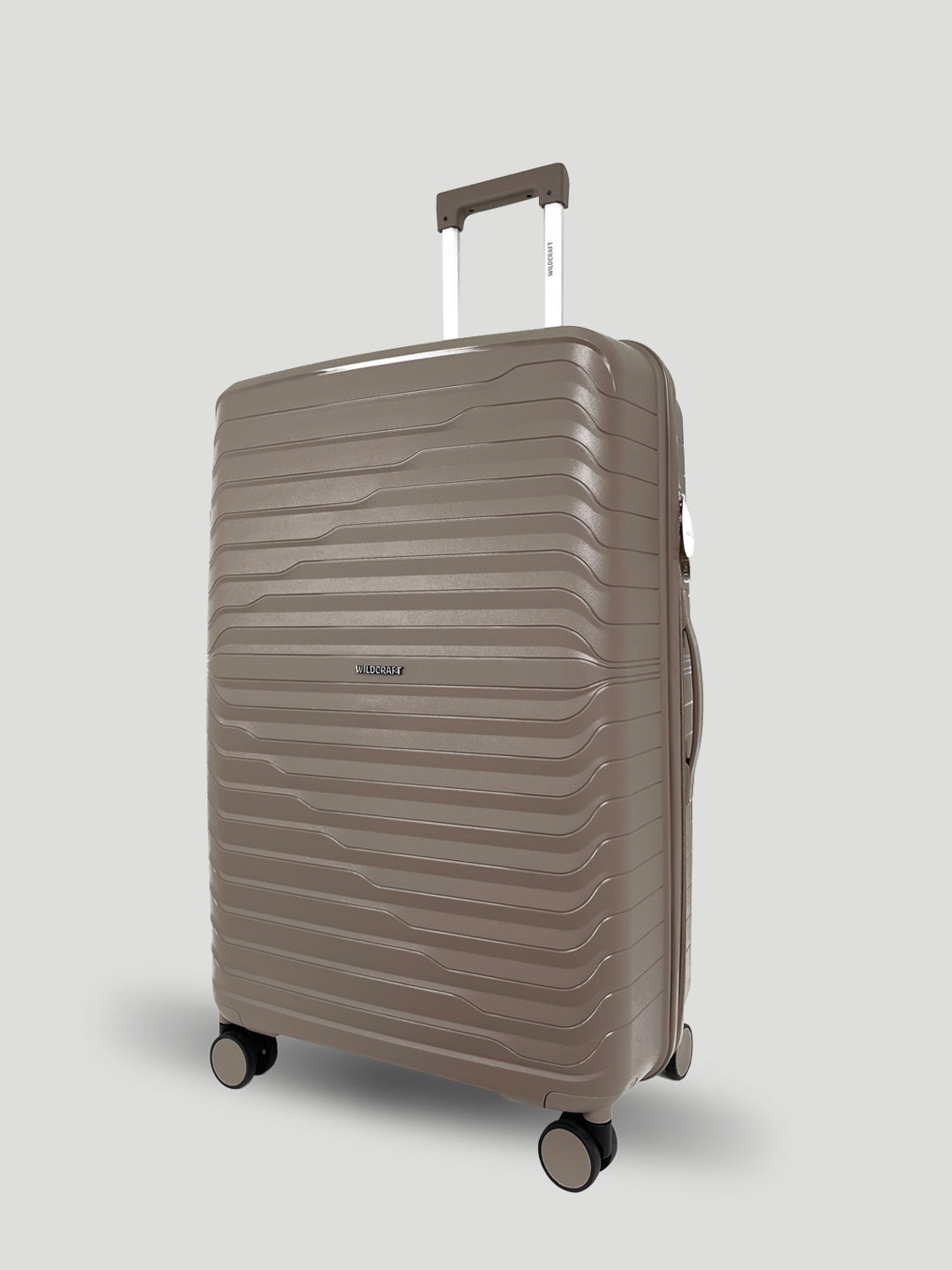 Image of Wildcraft Argus : Set of 3 (Small 56.2cm | Medium 66.2cm | Large 76cm) Cabin & Check-in Set 8 Wheels - 10 Inch