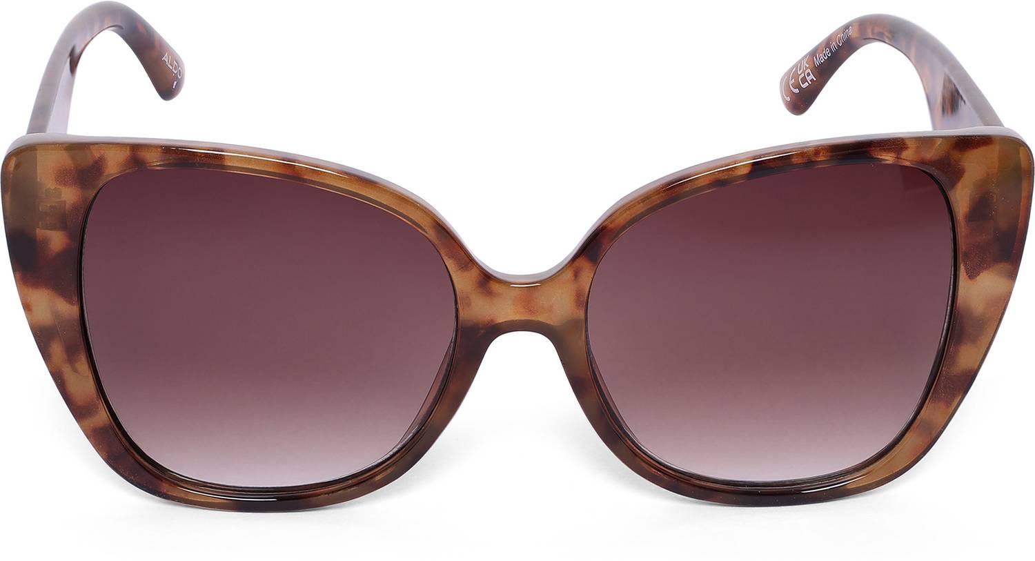 ALDO Spectacle Sunglasses
