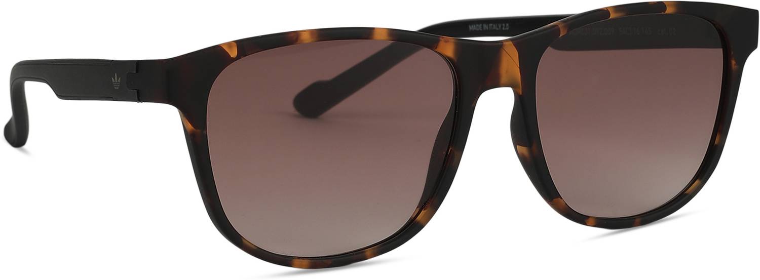 ADIDAS Wayfarer Sunglasses