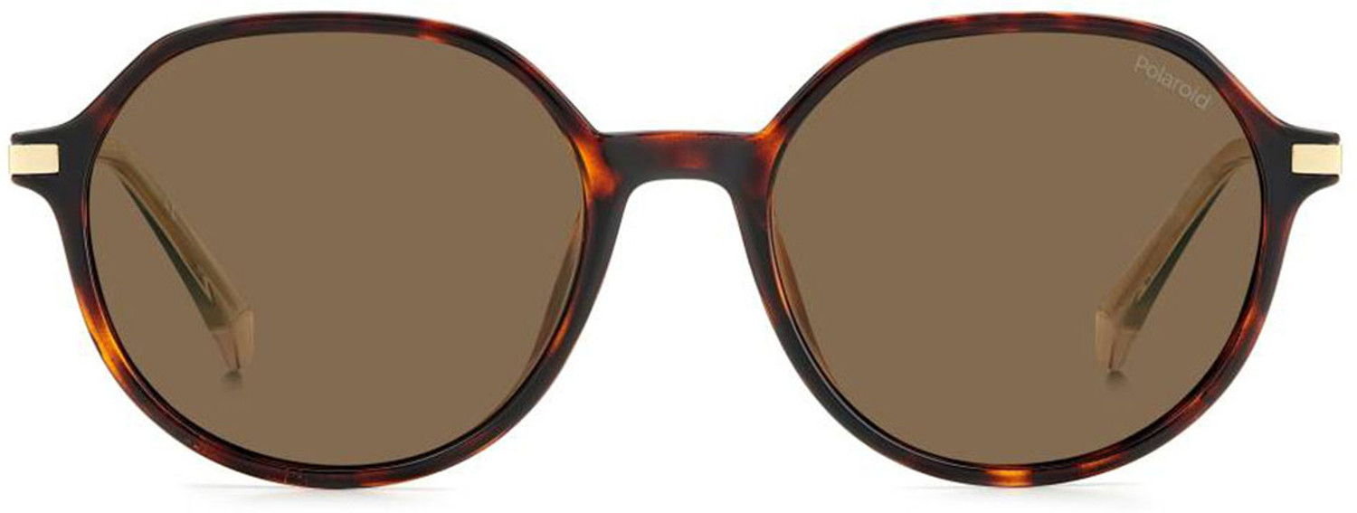 Image of POLAROID Polarized Oval Sunglasses (53) (For Men & Women, Brown)