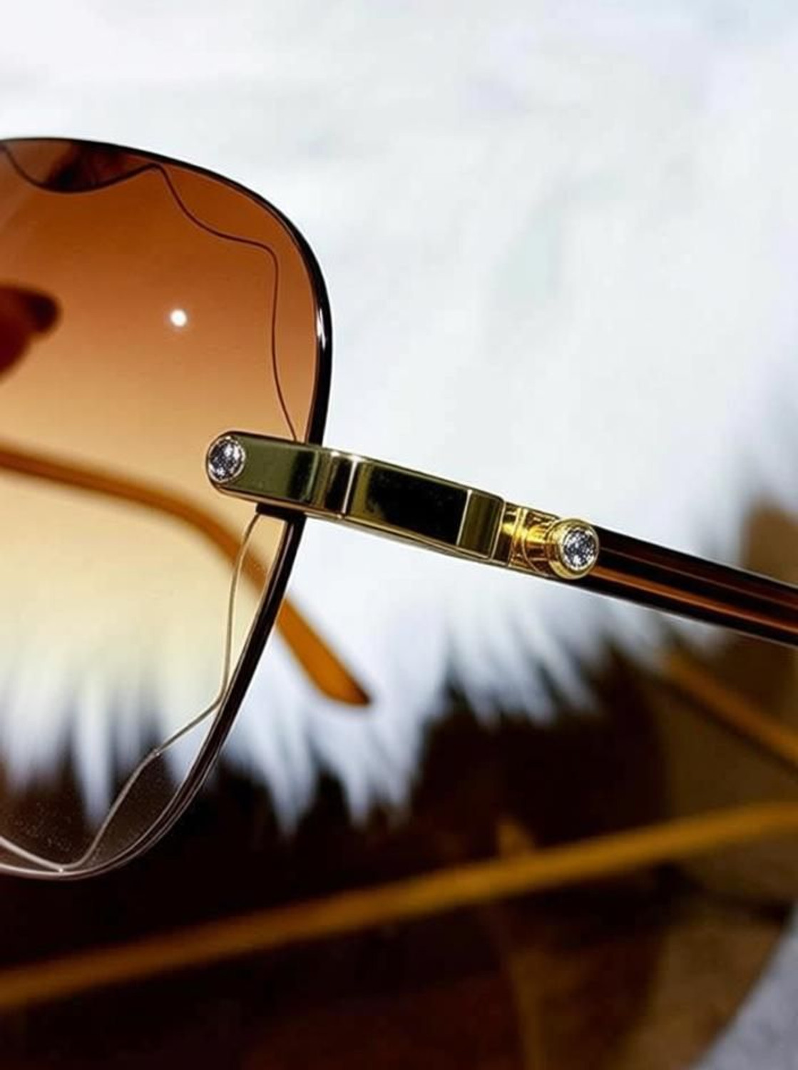 Image of The Magnifique Rectangular Sunglasses