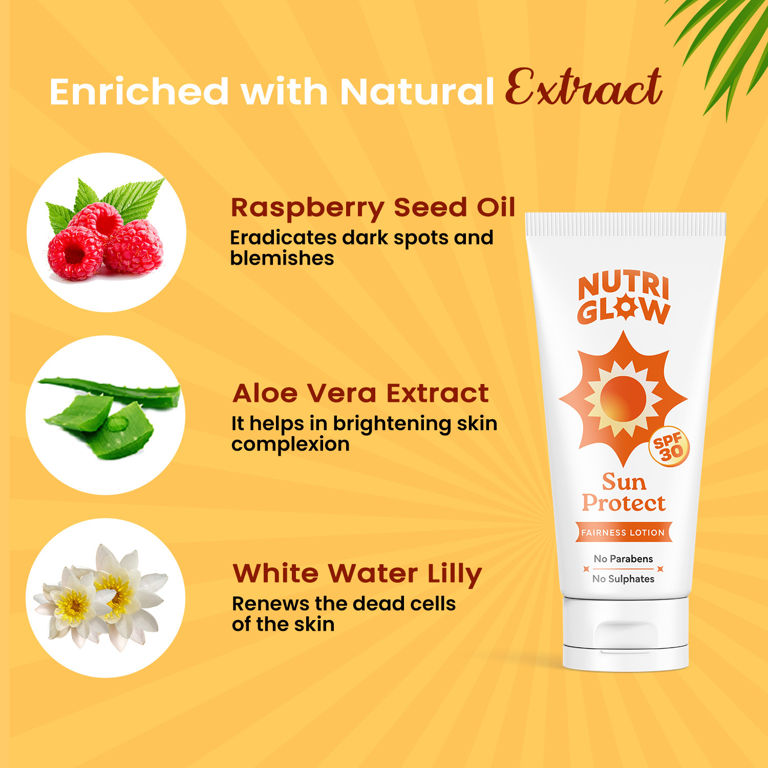 Image of NutriGlow Sunscreen - SPF 50 PA+++ Sun Screen Lotion (Pack of 3)