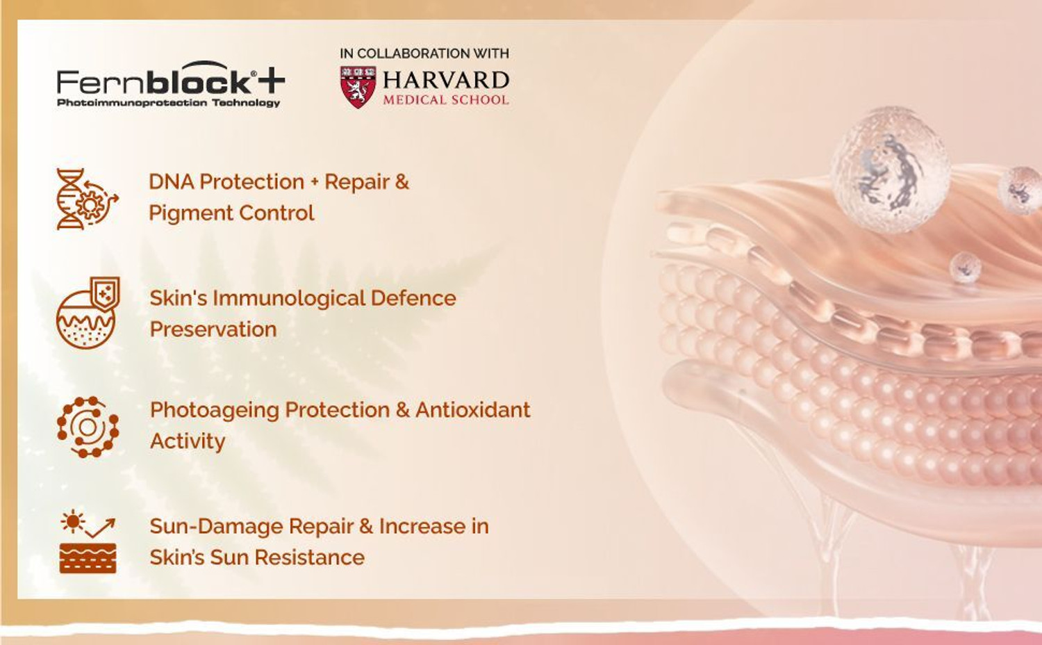 Image of Heliocare Sunscreen - SPF 50 PA++++ Sunscreen - SPF 50 PA++++ Color GelCream Light Suncreen UVB /UVA Combo