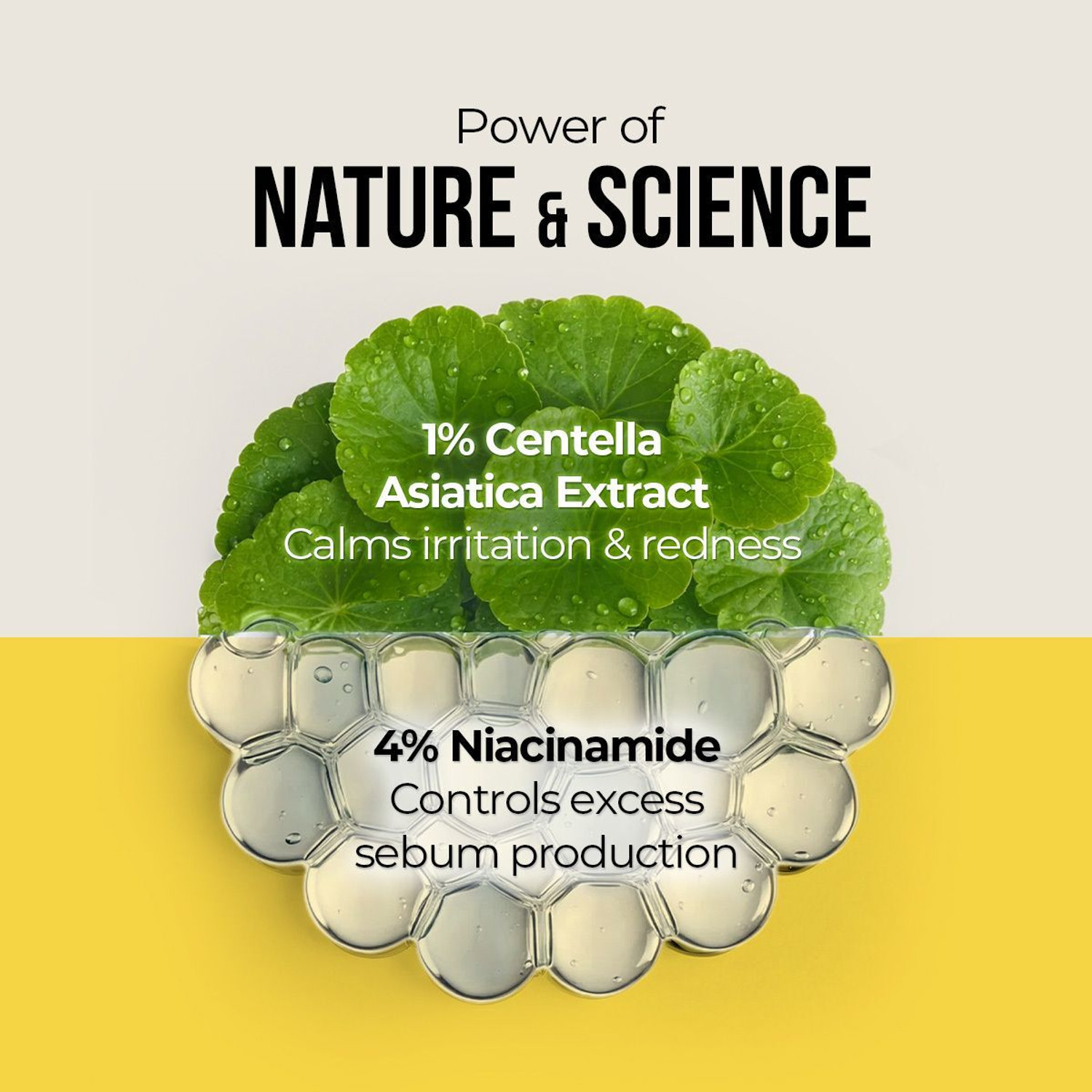 Image of Dr. Sheth's Sunscreen - SPF 50+ PA++++ Centella & Niacinamide Oil-Free Matte Sunscreen | Controls Excess Oil & Sebum