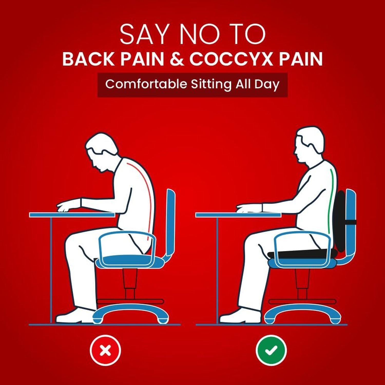Image of Dr Touch Coccyx Seat Cushion with Lumbar Support PillowforChair BackRest Support&Tailbone Back / Lumbar Support