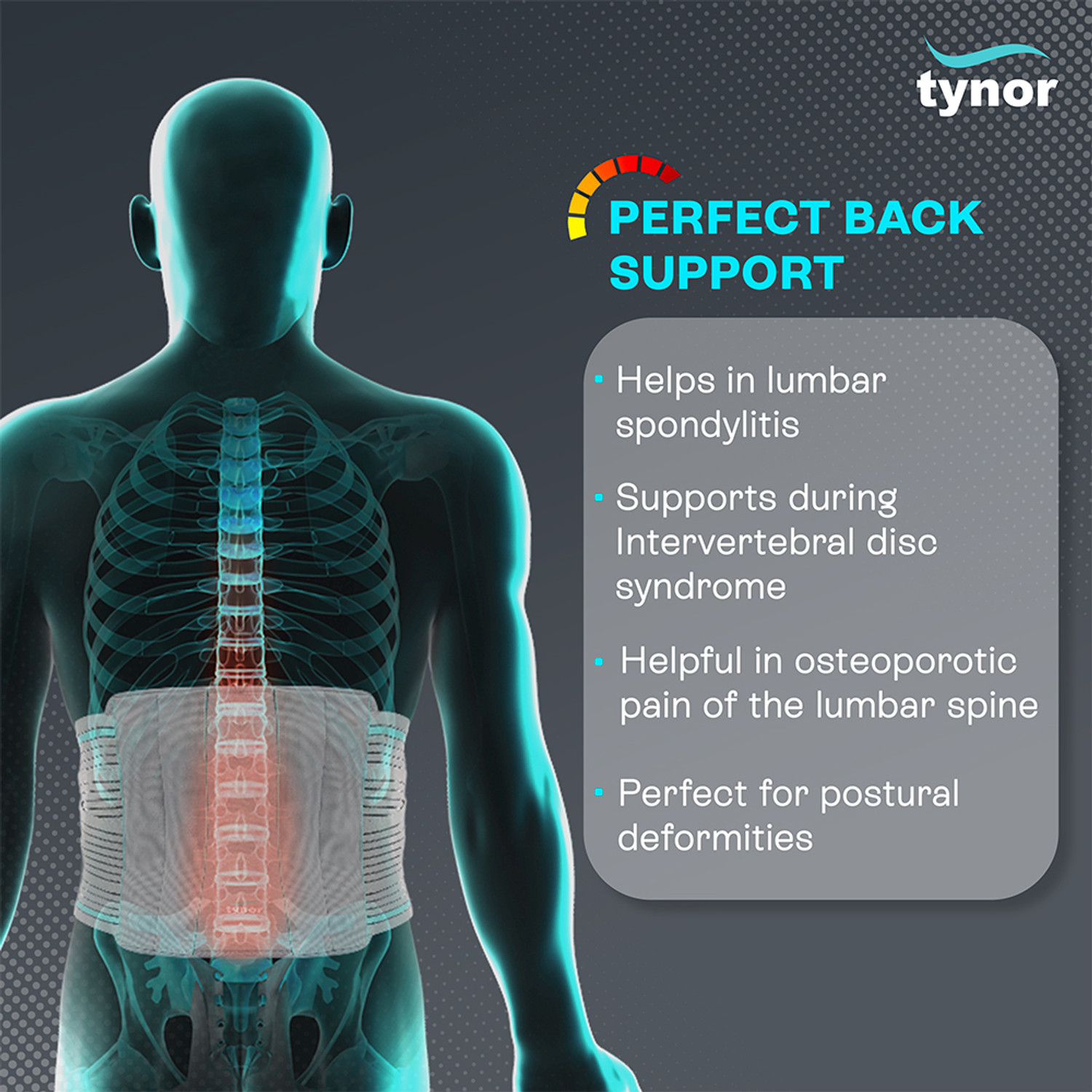 Image of TYNOR Contoured L.S. Support, Grey, Medium, 1 Unit Back / Lumbar Support