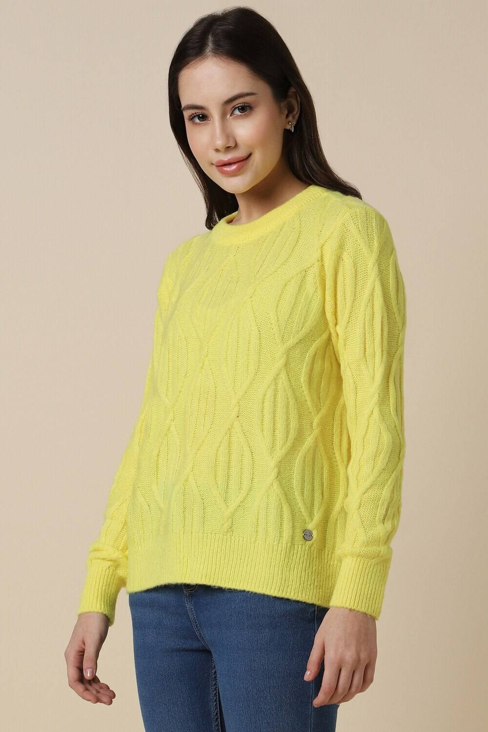 Allen Solly Self Design Round Neck Casual Women Green Sweater