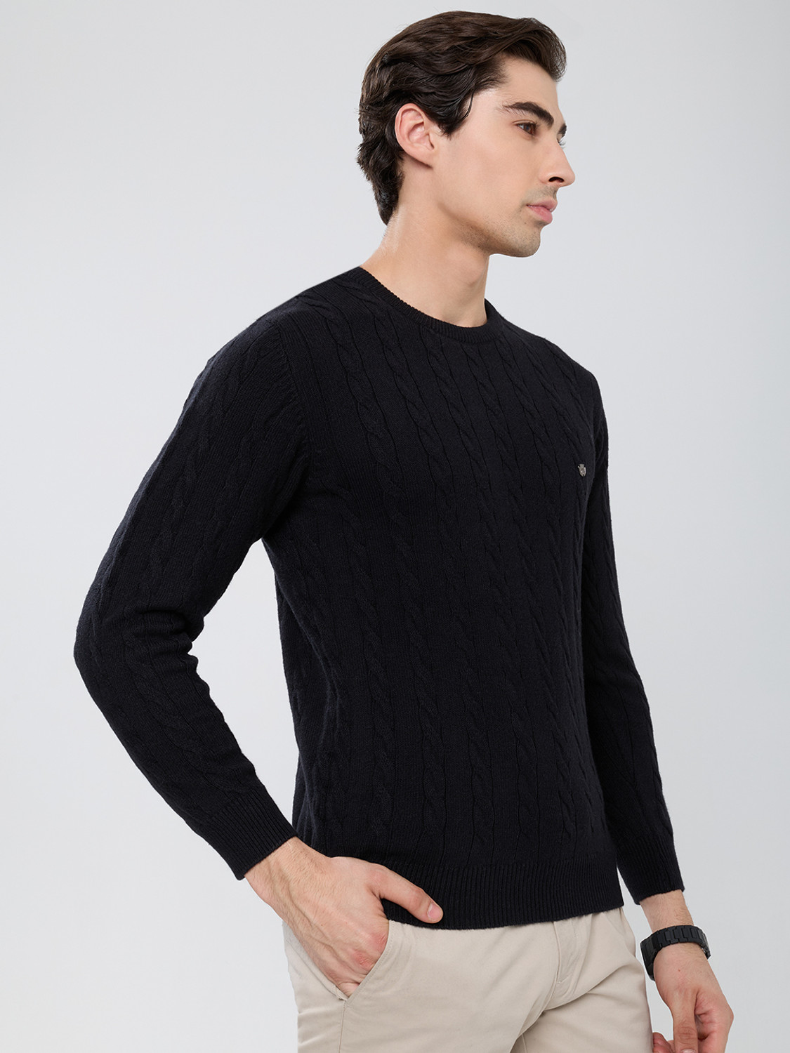 Image of MONTE CARLO Men Solid Round Neck Black Sweater