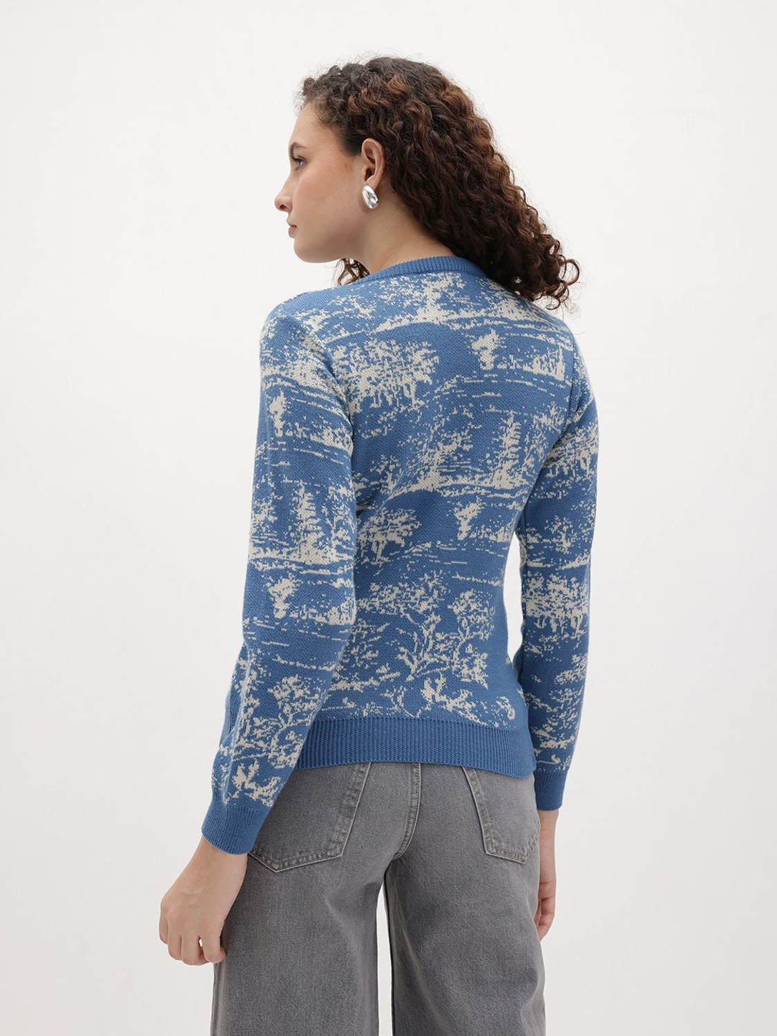 Image of Roadster Self Design Round Neck Casual Women Blue Sweater