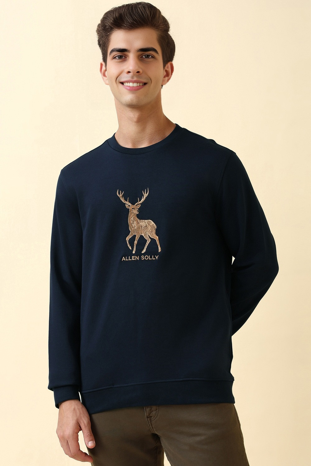 Image of Allen Solly Full Sleeve Embroidered Men Sweatshirt