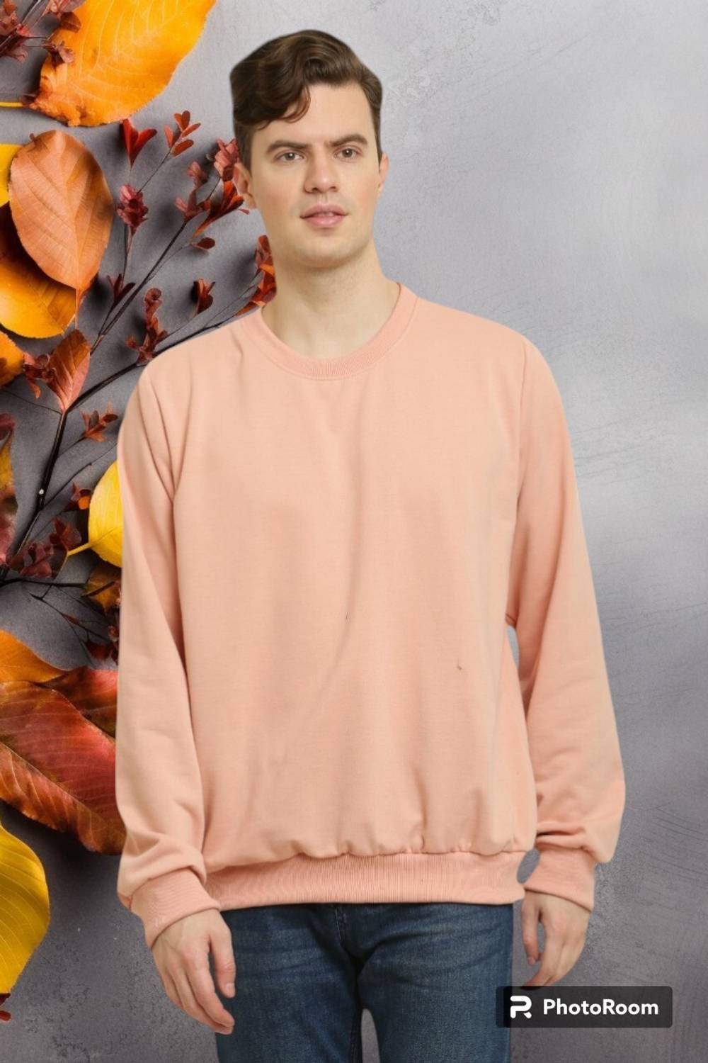 CANIDAES Full Sleeve Solid Men Sweatshirt
